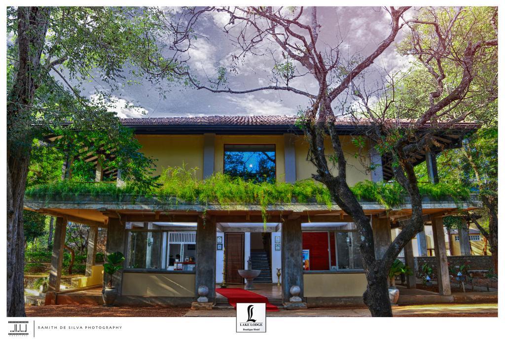 Lake Lodge Boutique Hotel Dambulla Exterior photo